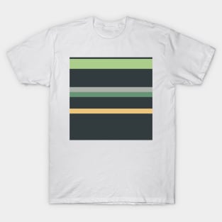 A beautiful fuse of Greyish, Charcoal, Slate Green, Pale Olive Green and Sand stripes. T-Shirt